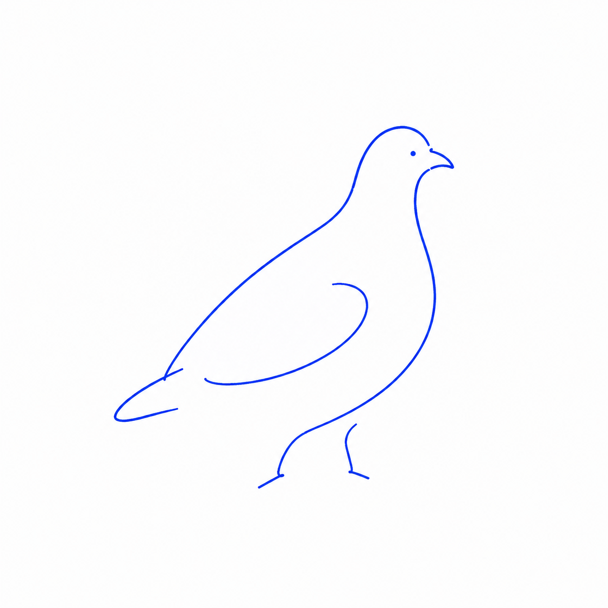 Encie, a pigeon drawn with a few simple cobalt lines.